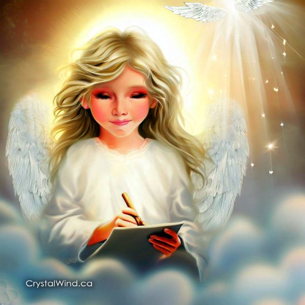 Daily Angel Message: Growing Towards The Light
