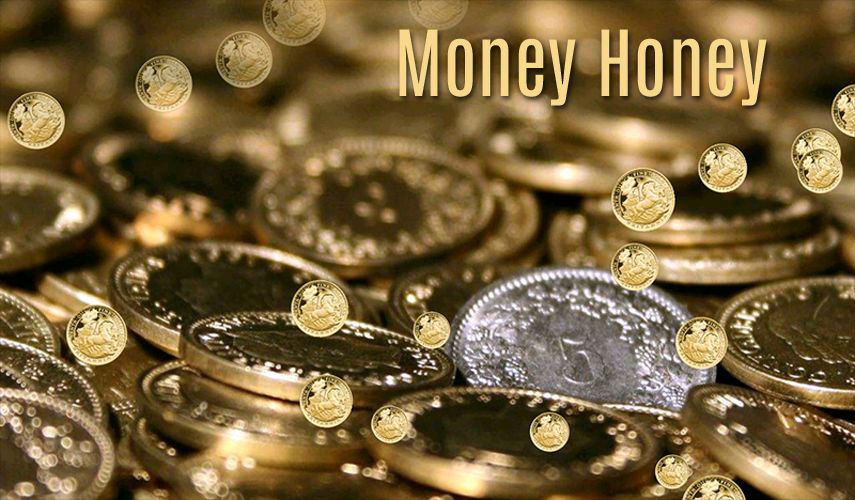 moneymoney homey