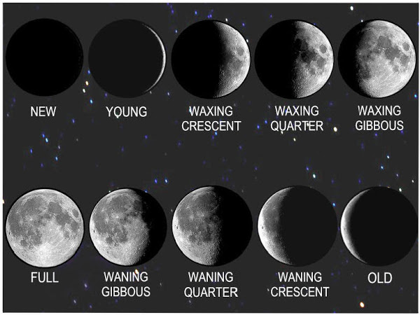 The Progressed Moon Moon Cycles