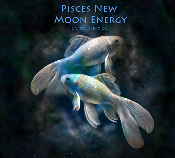The New Moon in Pisces CrystalWind.ca New Moon Energy Series