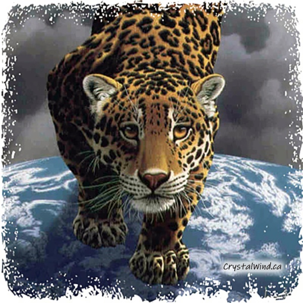 Spirit of Jaguar - CrystalWind.ca | Animal Spirit & Medicine