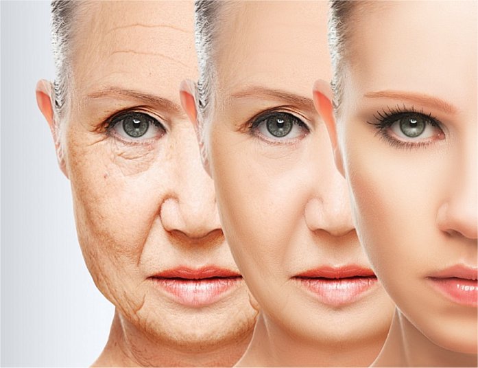  What Is Reverse Aging Called Best Design Idea