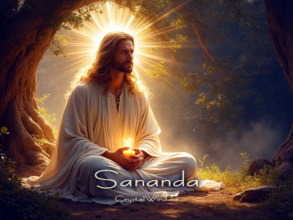 Sananda: The Moment to Halt Everything