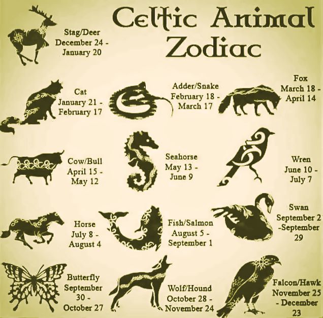 celtic astrology sign