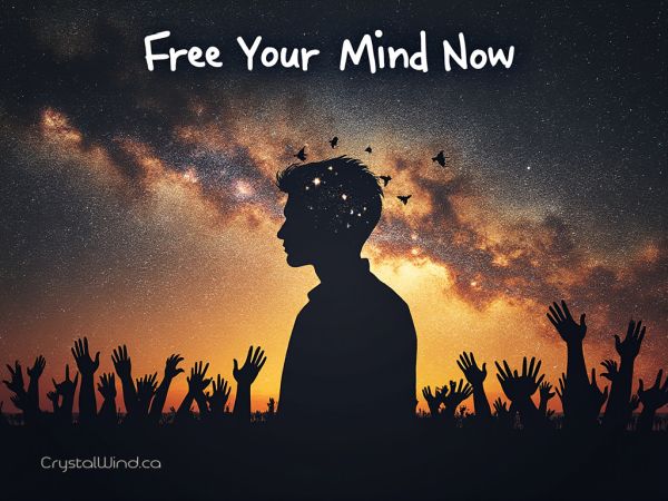 Free Your Mind Now