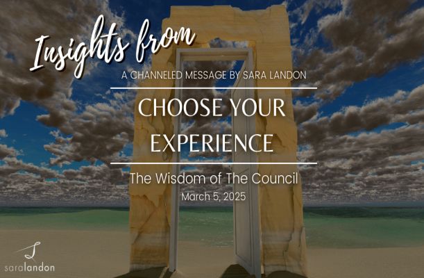 Insights from the Council: Choose Experience Now