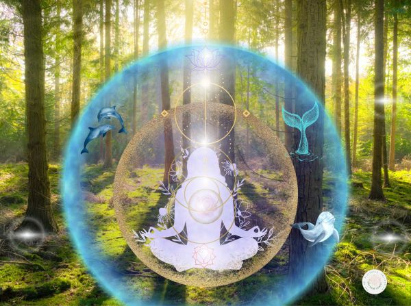 The Archangels of Light: Awaken the Blue Codes Within