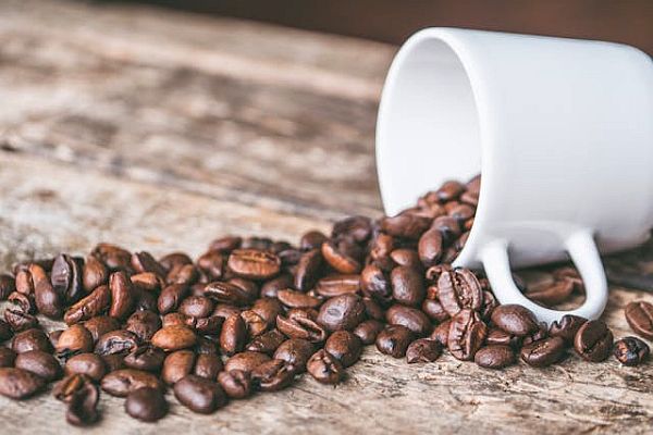 From Bean to Mug: A Coffee Lover's Guide