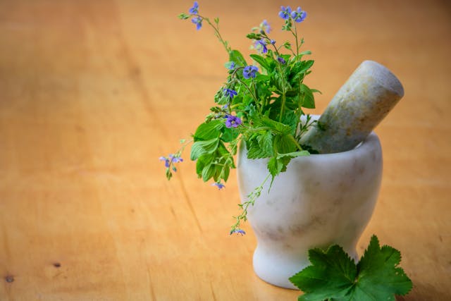 6 Alternative Medicine Options to Foster Wellness