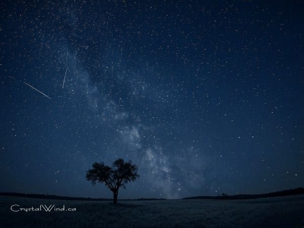 Ursid Meteor Shower 2024: A Winter Sky Spectacle