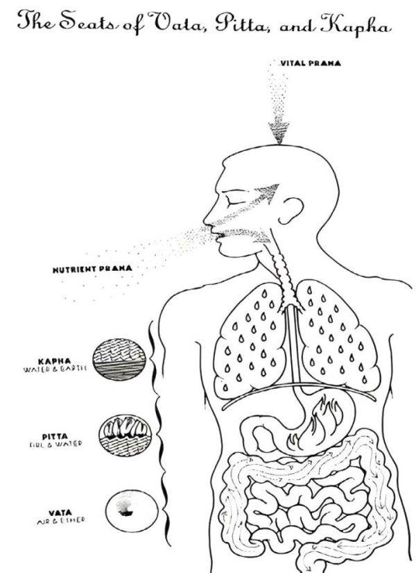 Ayurveda - An Ancient Healing