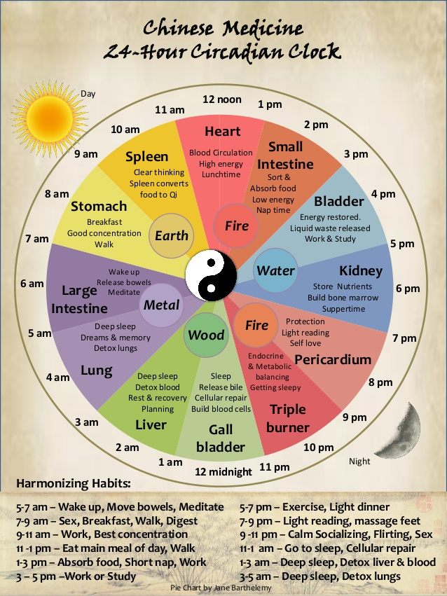 The Power Of Ritual And The 24 Hour Qi Cycle Traditional Chinese Medicine