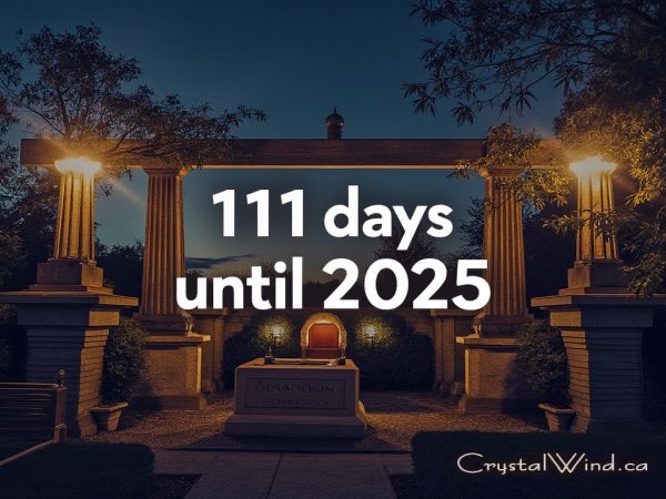 Only 111 Days Remaining in 2024 - Make Them Count!