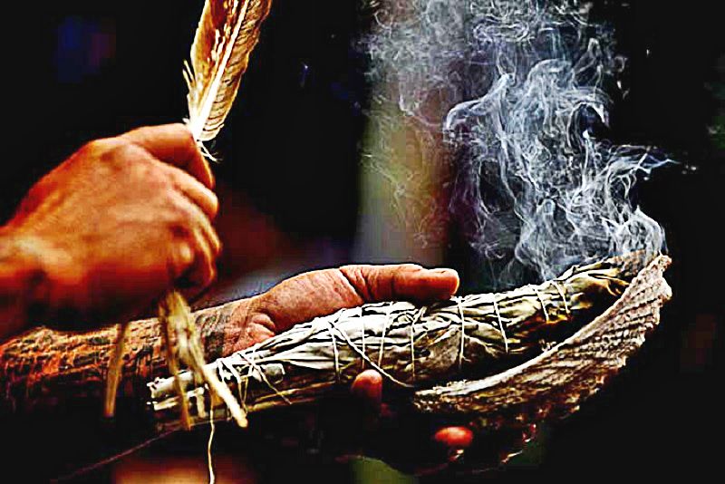 The Science Of Smudging - How Sage Actually Cleans Bacteria In The Air 