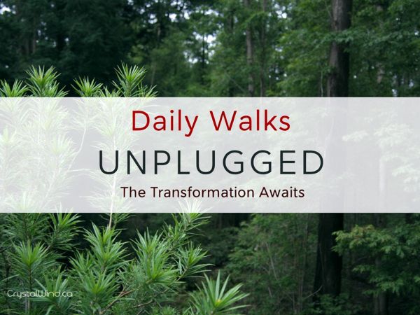 Daily Walks Unplugged: The Transformation Awaits