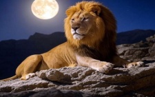 Rare Event The Full Moon in Leo 2025