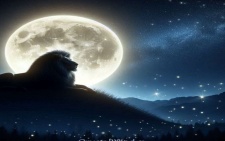 Full Moon in Leo: Embrace Chaos, Create Abundance