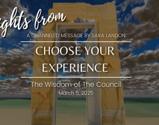 Insights from the Council: Choose Experience Now