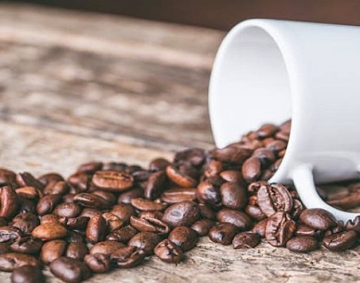 From Bean to Mug: A Coffee Lover's Guide