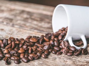 From Bean to Mug: A Coffee Lover's Guide