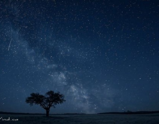 Ursid Meteor Shower 2024: A Winter Sky Spectacle