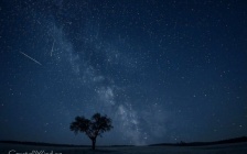 Ursid Meteor Shower 2024: A Winter Sky Spectacle