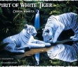 Spirit of White Tiger