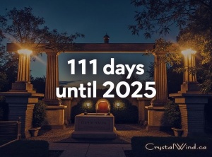 Only 111 Days Remaining in 2024 - Make Them Count!