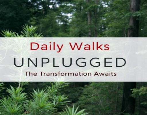 Daily Walks Unplugged: The Transformation Awaits